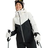 Image de Roxy - Veste de ski softshell - Free Jet Block Jacket True Black pour Femme - Taille M - Noir