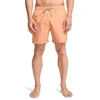 Image de Maillots de bain Billabong  All Day Layback 16" P31569883
