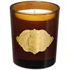 Image de L'Artisan Parfumeur Bougie Ambre