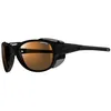 Image de Lunettes Julbo Explorer 2.0 Noir Verres Cameleon Photochromiques Et Polarisants Marron