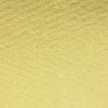 Image de Flex thermocollant Flexcut 50 x 25 cm doré