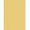 Image de Roboflex pour transfert sur textile - 34 x 21 cm - Beige mat