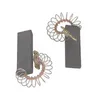 Image de Charbons Moteur (X2) Pour Lave Linge Bosch