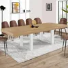 Image de IDMARKET Table Ã  manger extensible PHOENIX 10-12 personnes bois et blanc 200-300 cm