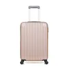 Image de VALISE M CARPATES