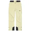 Image de Pantalon de ski PICTURE EXA PANTS (G Wood Ash) femme