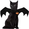 Image de DÃ©guisement Chien Ou Chat Ailes De Chauve-Souris Costume