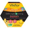 Image de Vitaflor Gelée Royale Bio 1000 mg Énergie + 20 ampoules