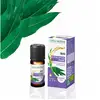 Image de Naturactive Huile Essentielle Radiée d'Eucalyptus Bio 10ML