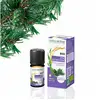 Image de Naturactive Huile Essentielle de Pin Sylvestre Bio 5ML