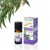 Image de Naturactive Huile Essentielle d'Eucalyptus Globose Bio 10ML