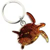 Image de Porte clé Tony & Paul  Porte-clés Tortue terrestre P26902802