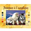 Image de Peinture par numéro - Dans le grand Nord