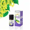 Image de Naturactive Huile Essentielle Ylang Ylang BIO 5ML