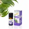 Image de Naturactive Huile Essentielle d'Eucalyptus Citronné Bio 10ML