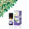 Image de Naturactive Huile Essentielle Lit de Citron Bio 10ML