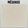 Image de Peinture argile naturelle decoration chambre enfant ARGILIS Mesange - grege kit 30 mÂ² - 5 kg