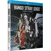 Image de Bungo Stray Dogs - Saison 3