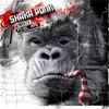 Image de The White Pixel Ape - Vinyle