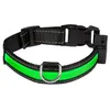 Image de Eyenimal Collier Lumineux Light Collar Usb Rechargeable L - Vert - Pour Chien