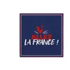 Image de 10 SERVIETTES PAPIER COCORICO FRANCE 33CM