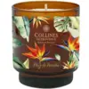 Image de Collines de Provence - Bougie Parfumée - Fleur du Paradis 220g