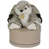 Image de Doudou et Compagnie Lapin Marius 30cm