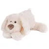 Image de Doudou Histoire D'ours Chien Cookie Blanc 40cms Ho2320