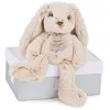 Image de Doudou et Compagnie Copains Calins - Lapin Beige 25 cm