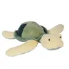 Image de Histoire D'ours Tortue De Mer
