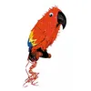 Image de Pinata Perroquet