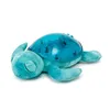 Image de Veilleuse BÃ©bÃ© Projection Plafond Musicale Tortue Tranquille Aqua - Rechargeable - Cloud B