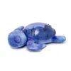 Image de Veilleuse BÃ©bÃ© Projection Plafond Musicale Tortue Tranquille OcÃ©an - Rechargeable - Cloud B