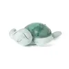 Image de Veilleuse BÃ©bÃ© Projection Plafond Musicale Tortue Tranquille Verte - Rechargeable - Cloud B