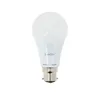 Image de Ampoule Xanlite Globe Led B22 - 60w