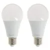 Image de Lot De 2 Ampoules Smd Led Culot E27 1521 Lumens