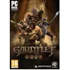 Image de Gauntlet PC