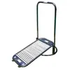 Image de Tapis De Course Aquatique Aquajogg Waterflex Piscine - Pliable 100% Acier BrossÃ© Avec Traitement Anticorrosion/L38 X L118 Cm