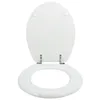 Image de Abattant Wc Blanc CharniÃ¨res En Zinc