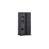 Image de Elipson Horus 11F Active BT Phono Noir Carbone (la paire) - Enceintes colonne actives