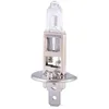 Image de 5 AMPOULES H1 12 VOLTS 55 WATTS PHARES ET ANTI-BROUILLARDS AVANT