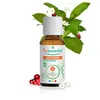 Image de Puressentiel Huile Essentielle Bio Lentisque Pistachier 5ml