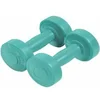 Image de Paire d'haltère ciment Sporti 1 Kg Vert 1 Kg 044012