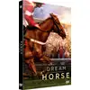 Image de Dream Horse