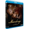 Image de Mandingo