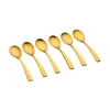 Image de Coffret 6 Petites CuillÃ¨res Oglu - Gold