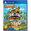 Image de New Joe & Mac : Caveman Ninja T-Rex Edition PS4