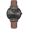 Image de Montre Pierre Lannier 209g434