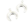 Image de Pendentif Corne Argenté 925 - 2 pcs