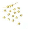 Image de Perle Étoile 5 mm Doré à l'or fin 24K - 10 pcs